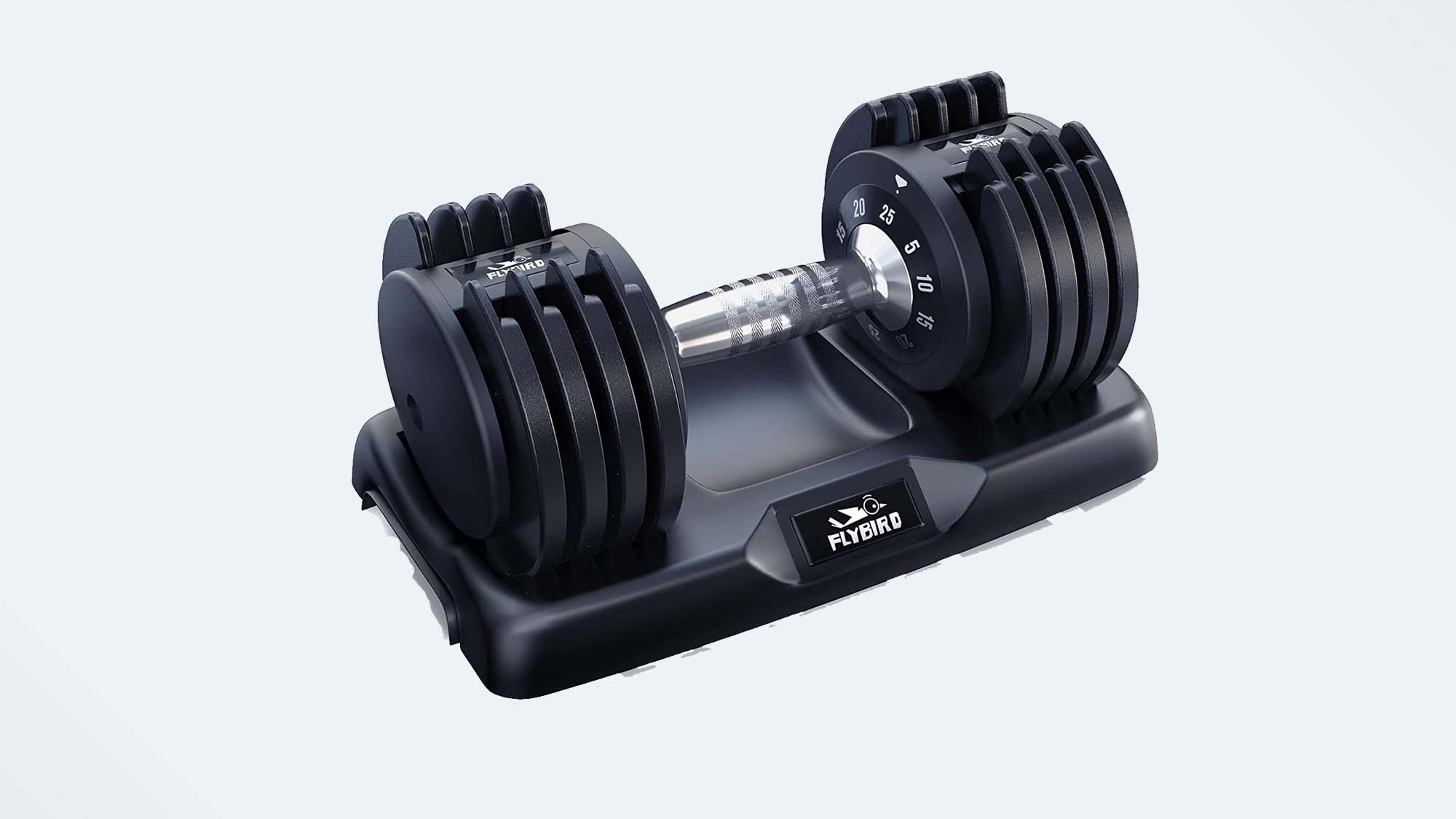 Flybird Adjustable Dumbbell review