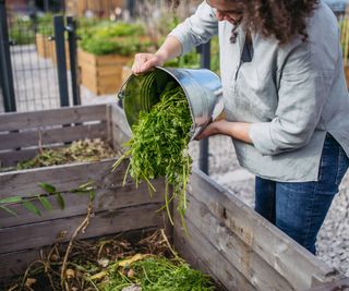 Woman dumps bucket of greens into compost bin