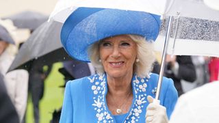 32 Interesting fact about Queen Camilla - Her longlasting friendship with Andrew Parker Bowles
