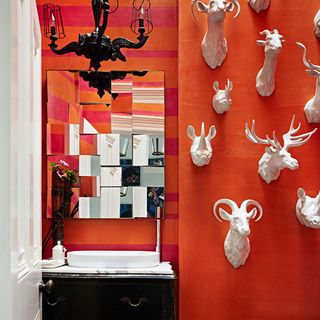 cloakroom with orange wall and antlers