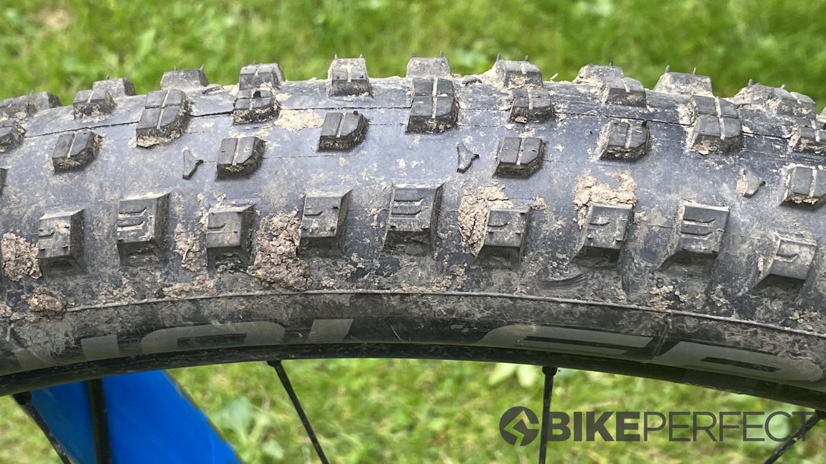 Wolfpack Tyres Trail