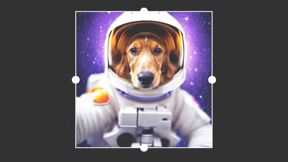 Picsart AI Avatars Pets