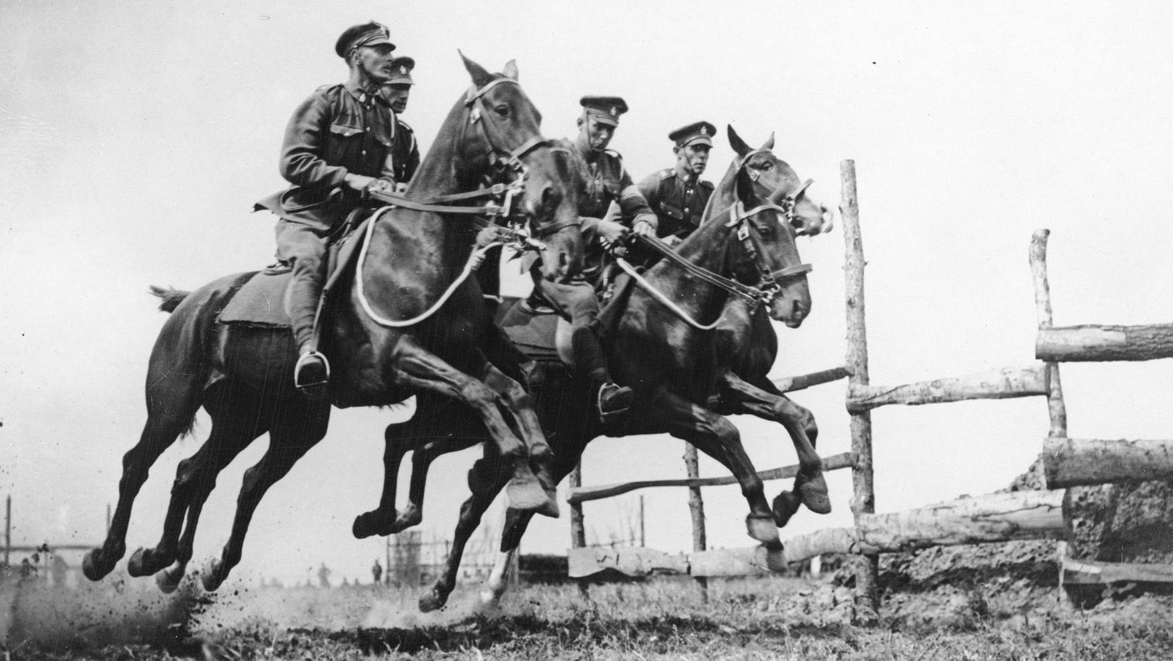 WW1 Photographer Captured Horses with Slow Glass Plate Camera