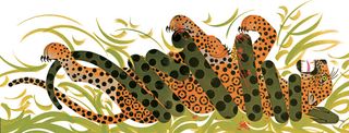 An illustration of a leopard lying on its back on the grass with a python wrapped all around it.