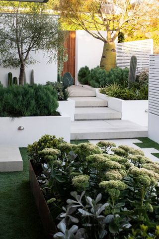 Side yard with built in planters and cacti garden
