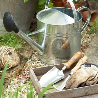 gardening tools and equipment
