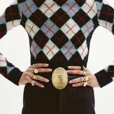 a model in the celine spring 2026 campaign