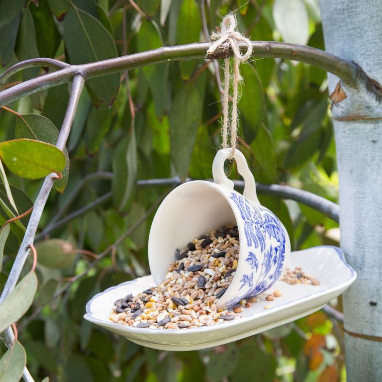 The RSPB warns not to use bird tables due to deadly disease | Ideal Home