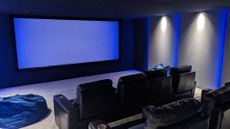 Home theater with large sceen 