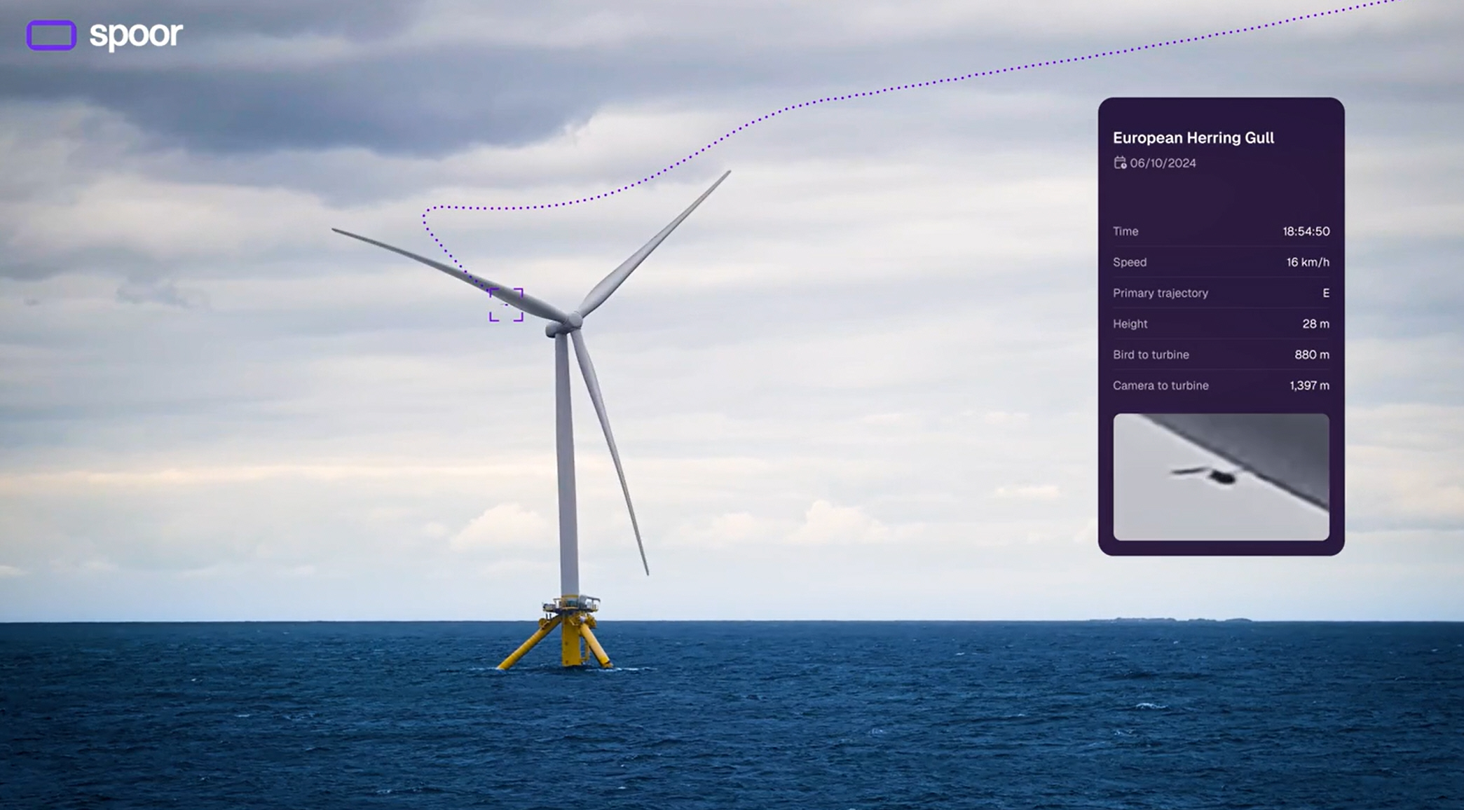 Spoor AI-powered bird protection