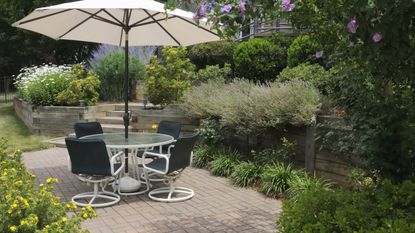 Plants for a shady patio