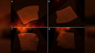 The experiments with 3-dimensional scans of the carved plaquettes and firelight generated with computers revealed that different portraits of animals may have been animated by the flickering firelight.