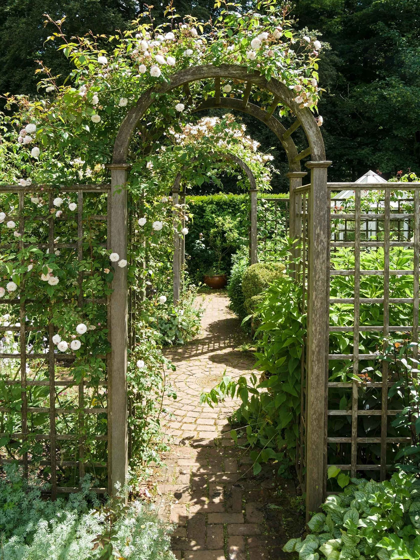 Trellis ideas for gardens: 15 chic screens to add plants, privacy and