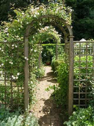 trellis ideas for garden as abor