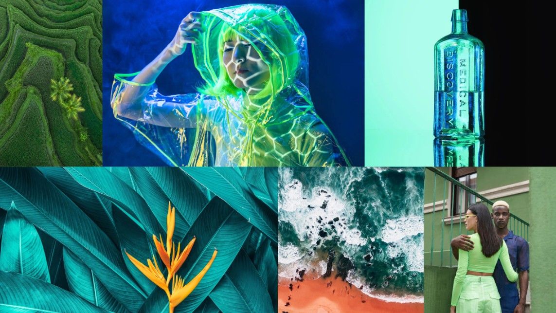 Selection of images, all containing green