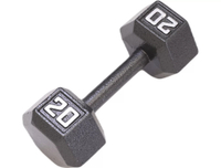 Fitness Gear 20 lbs Cast Hex Dumbbell (Single): was $32.99 now $29.99 at Dick's Sporting Goods