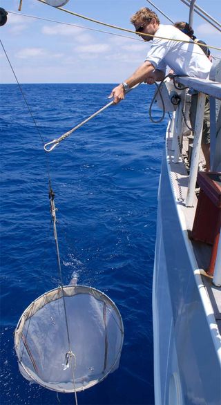 Giora Proskurowski deploys a net collect samples that help estimate how much plastic debris is in the ocean.