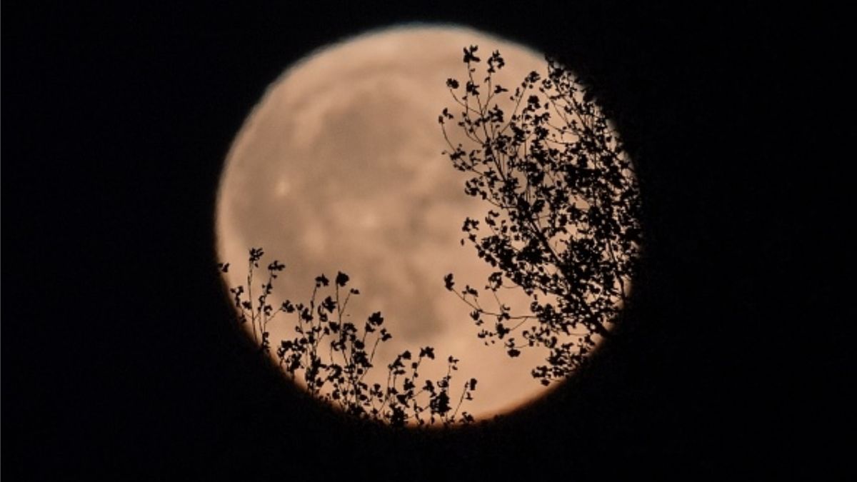 Halloween Full Moon 2020 what does full moon on Halloween mean? My