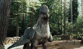 Buckbeak in Harry Potter and the Prisoner of Azkaban