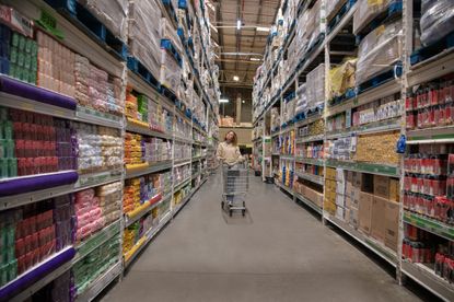 Young woman pushing empty trolley down aisle of wholesaler 