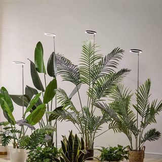 Plant Grow Light