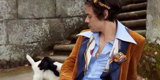 Harry Styles sits on some stairs with two small goats.