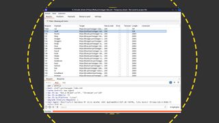 The Burp Suite interface