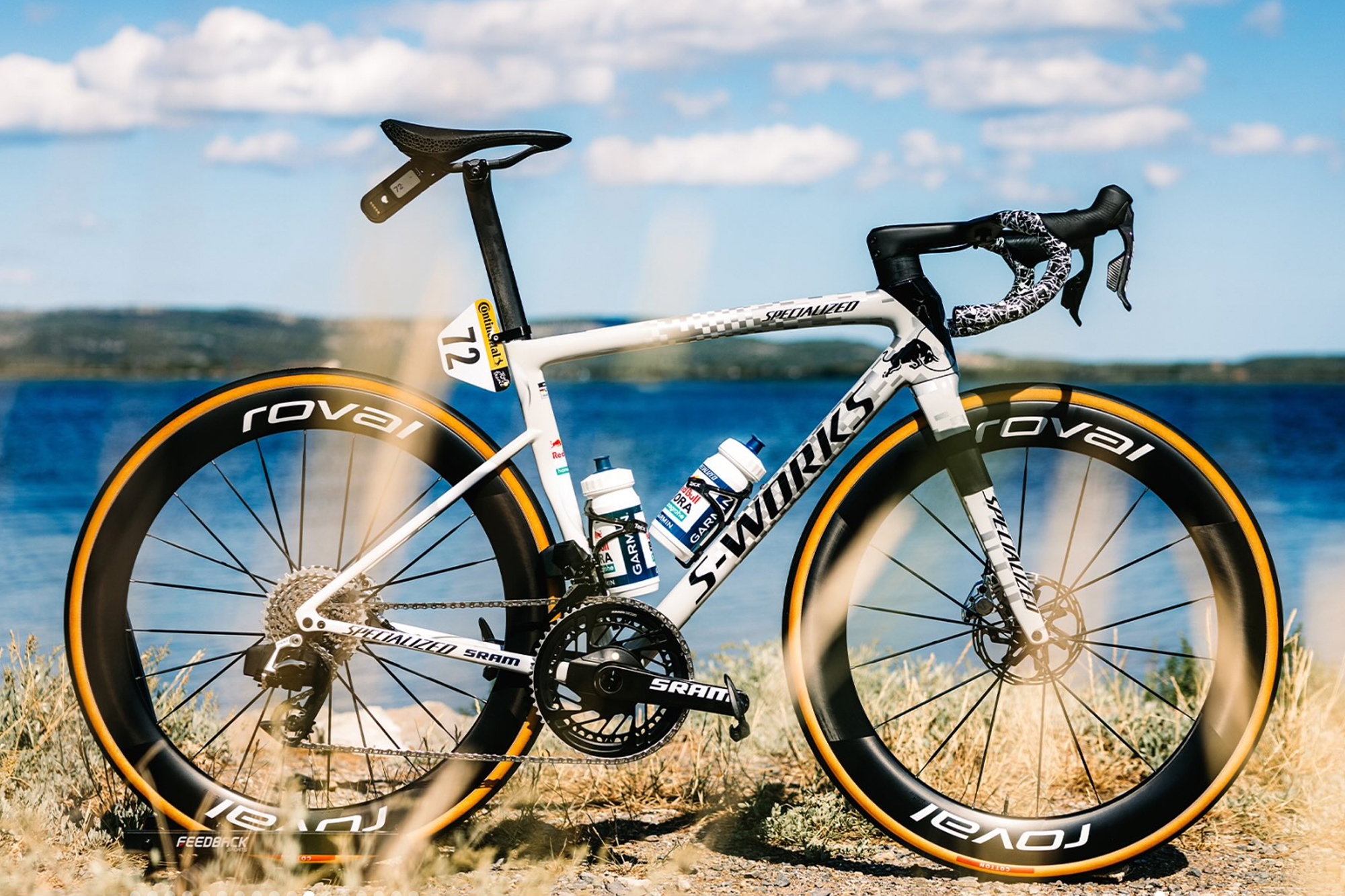 Florian Lipowitz Specialized S-Works Tarmac SL8 in profile with river in background
