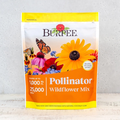 Pollinator Mix Wildflowers Seeds