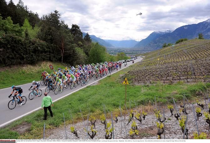 The peloton in Romandie