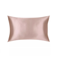 The Ultimate Collection Silk Standard Pillowcase: £45