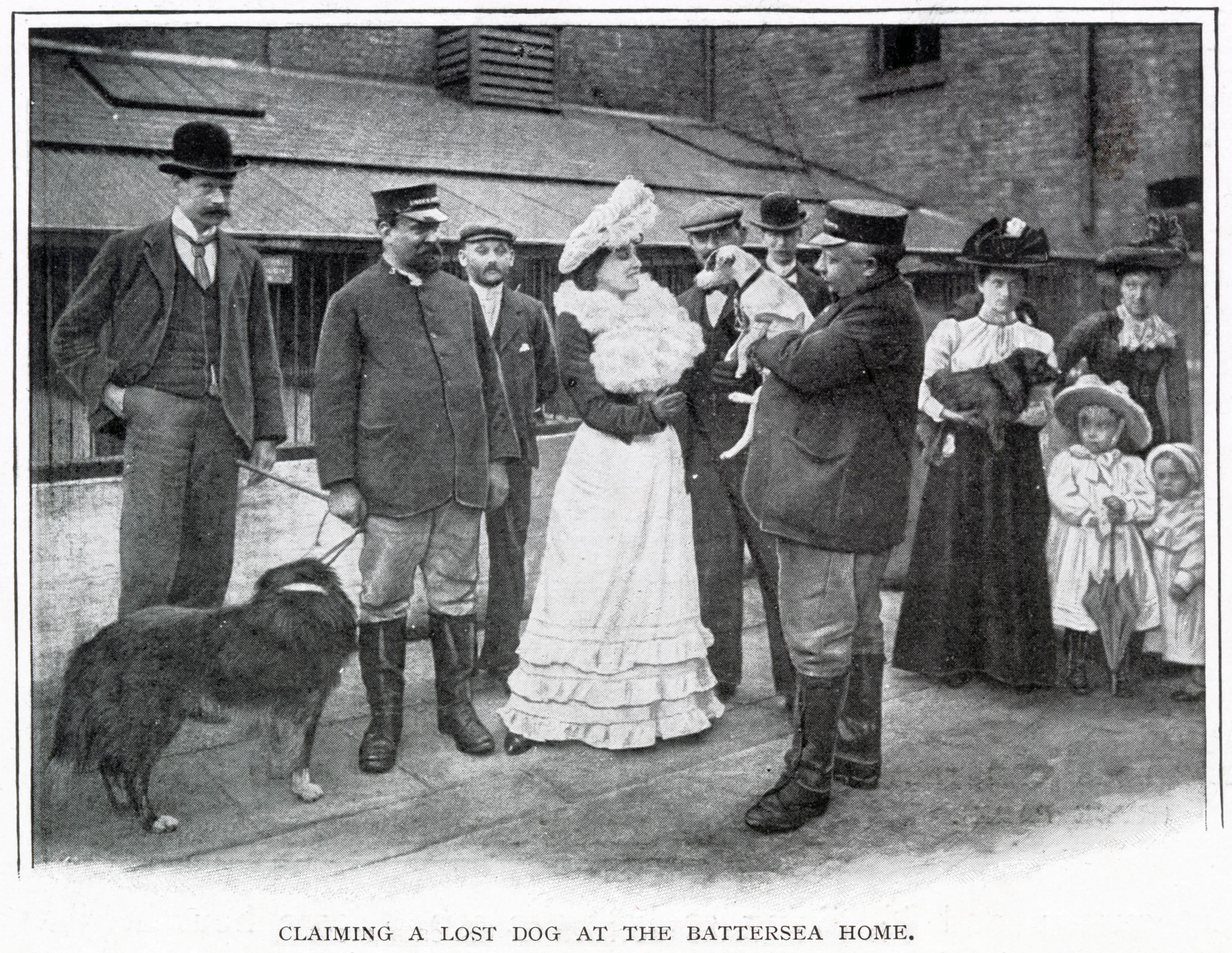 Black-and-white photograph showing people outside Battersea Dogs Home claiming a lost dog. Men and women in Edwardian dress stand in a courtyard while a large dog waits on a lead. 