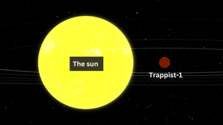 An illustration showing the size difference between Trappist-1 and the sun. The sun is far larger.