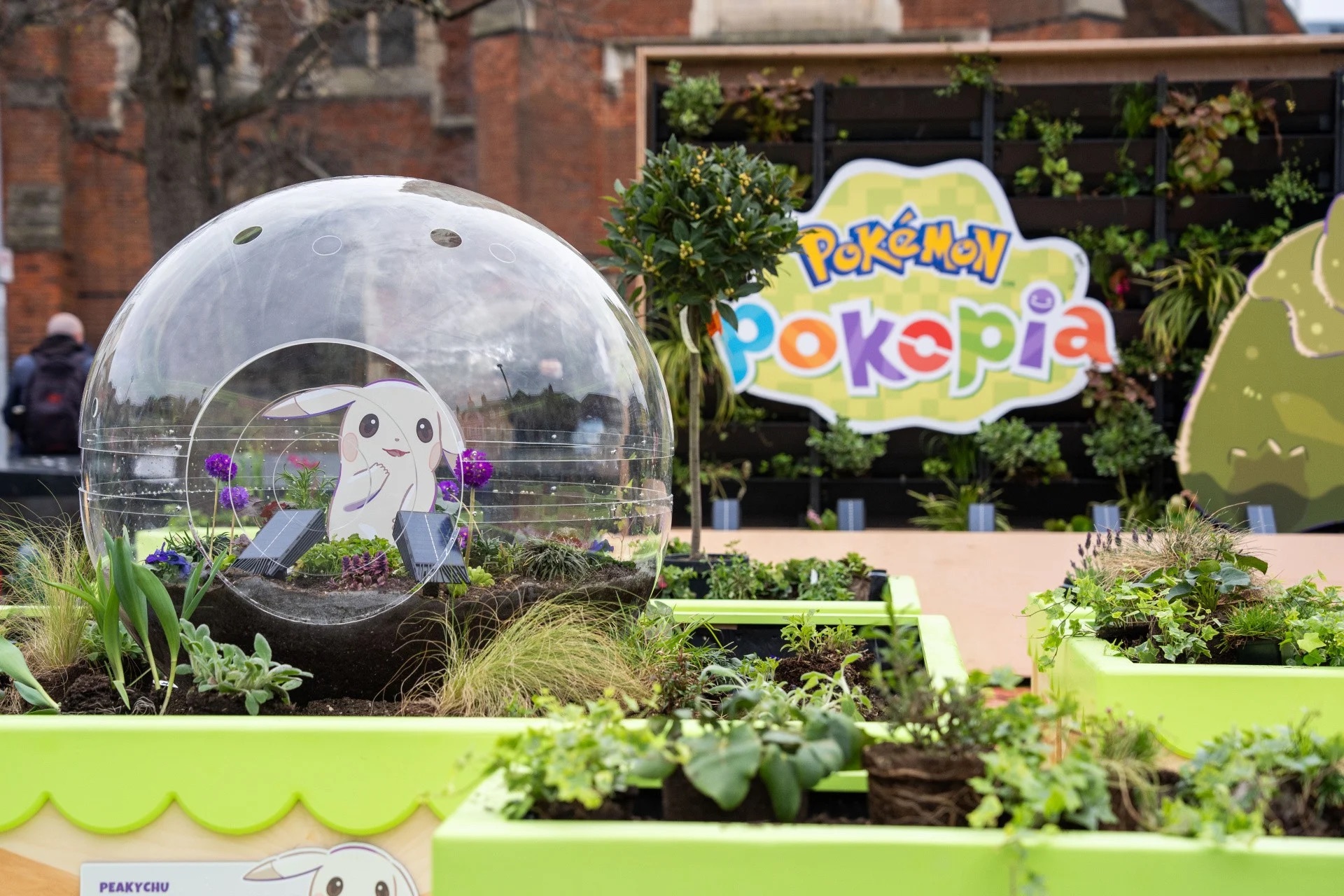 Pokémon Pokopia garden in Acton