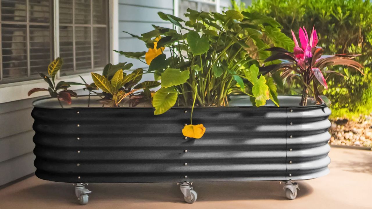 Raised garden bed on wheels