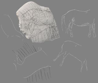 Paleolithic horses