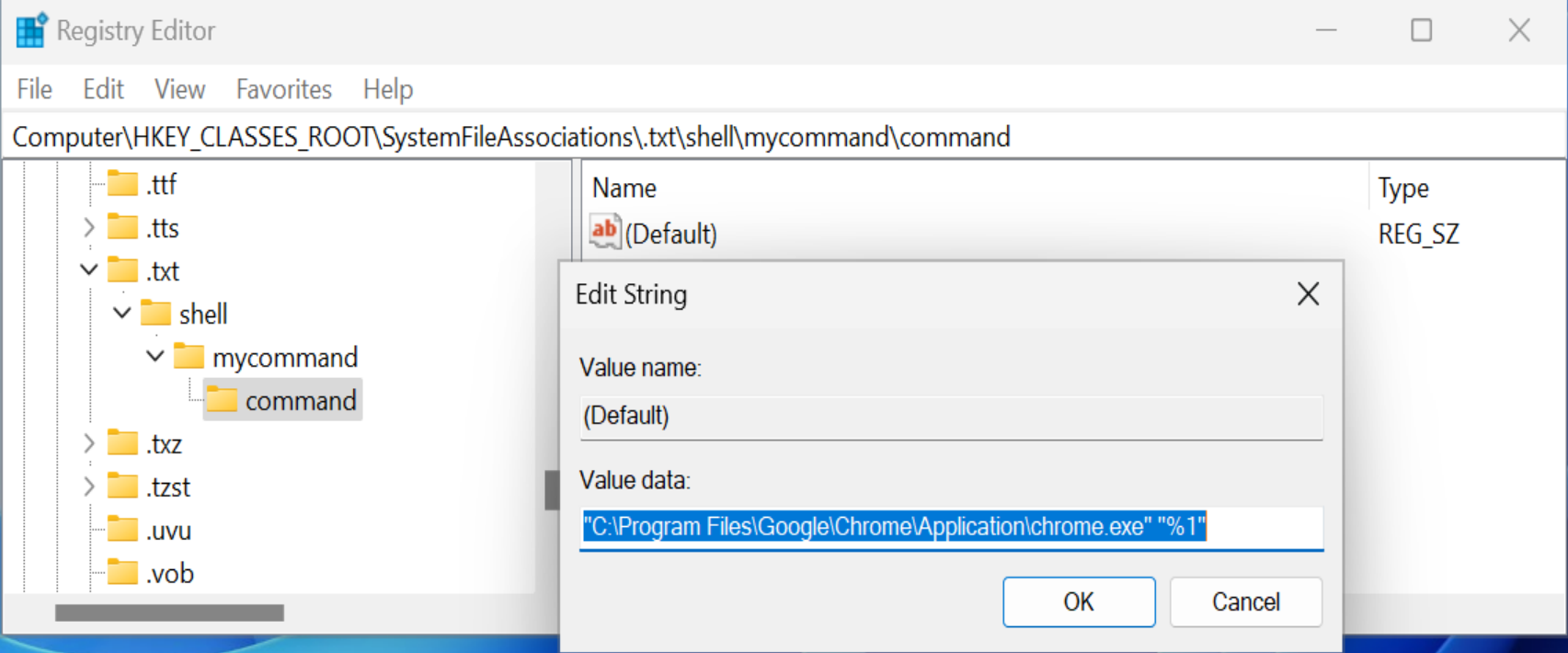 change the default value to the executable path