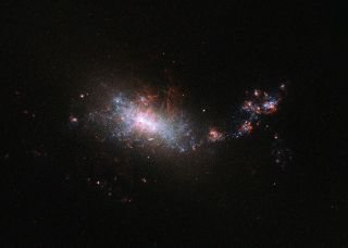 The irregular dwarf galaxy NGC 1140 is located about 60 million light-years away in the constellation Eridanus.