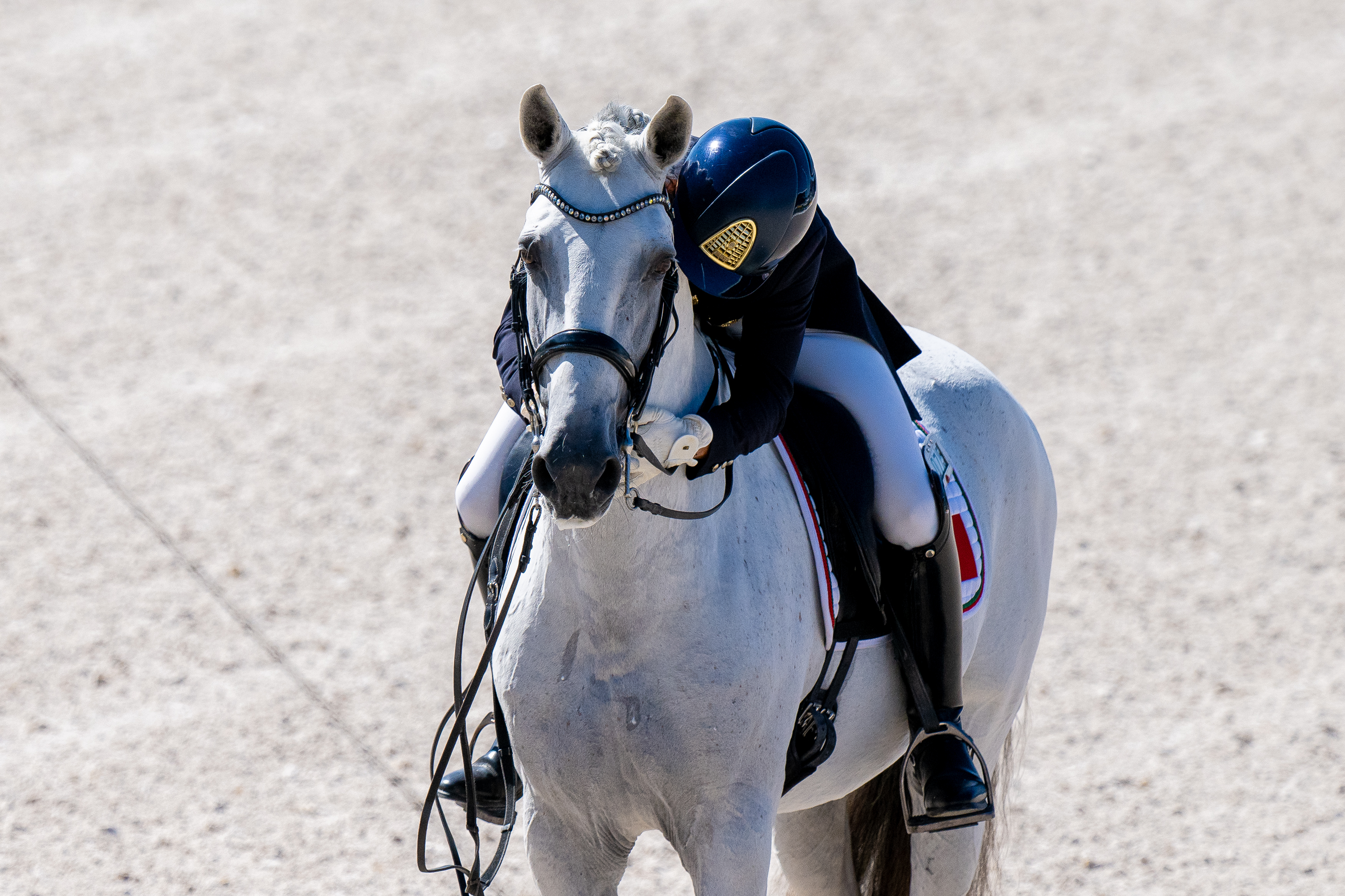 Image shows a rider hugging a grey Lusitano horse in a dressage arena