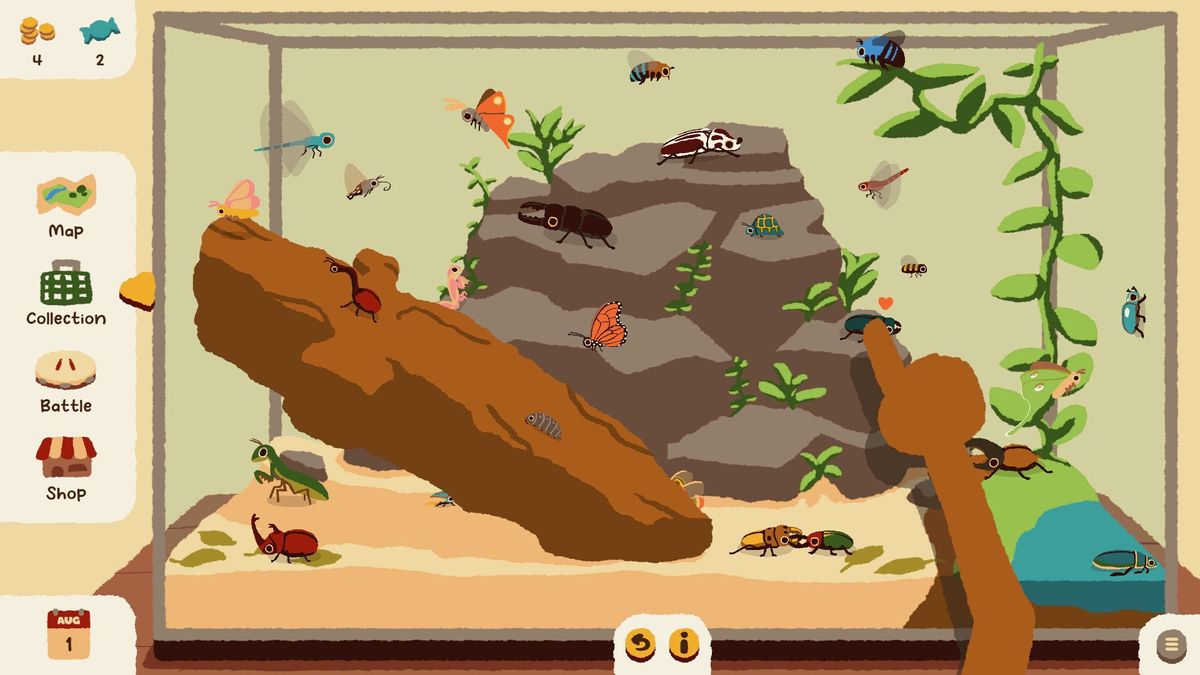Collected bugs in a child's aquarium with a rock and log.