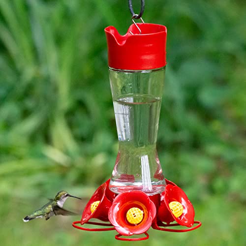 Perky-Pet Favored Pinch-Waist Glass Hummingbird Feeder, 16 Oz Capacity