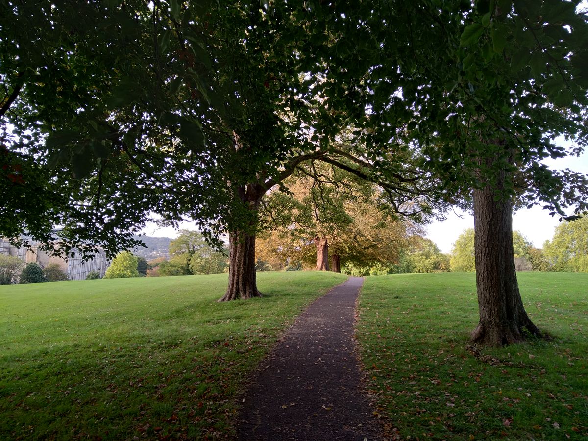 CAT S62 Pro review | Digital Camera World