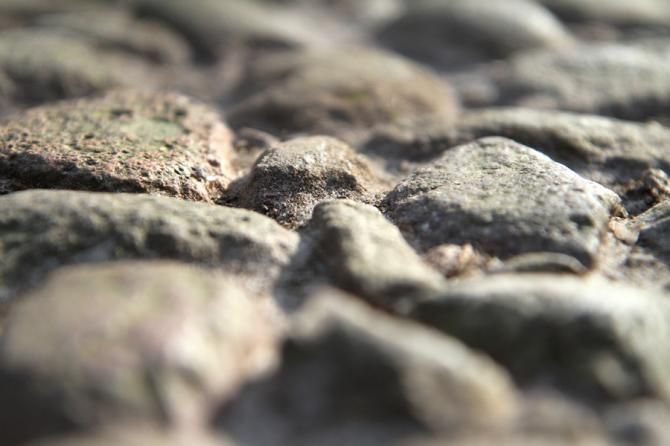 The cobbles of the Drentse 8