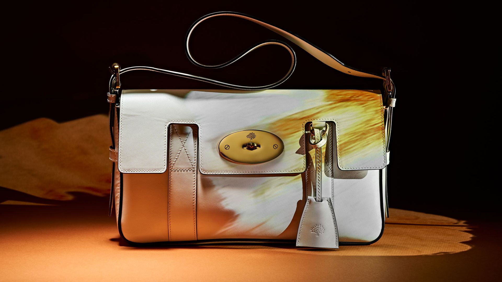 Whatever it is that takes to make an icon, we can be fairly certain that Dior’s Saddle bag has *it* Whatever it is that takes to make an icon, we can be fairly certain that Dior’s Saddle bag has *it*