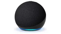 Echo Dot: 5th Gen, 2022 release