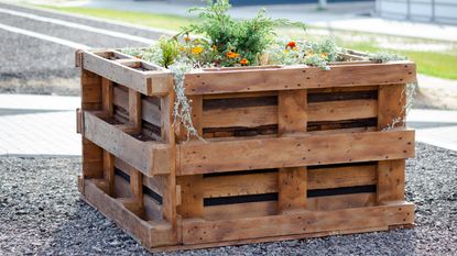 Cheap raised garden bed built out of pallets