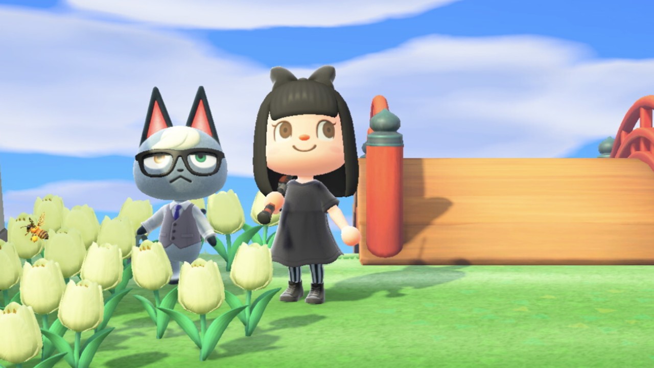 How to get Raymond in Animal Crossing 