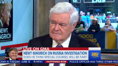 Newt Gingrich does not like what he is seeing from Special Counsel Mueller.