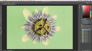 You can overcome the depth of field limitations of macro capture by using focus stacking to create an image with greater front-to-back sharpness