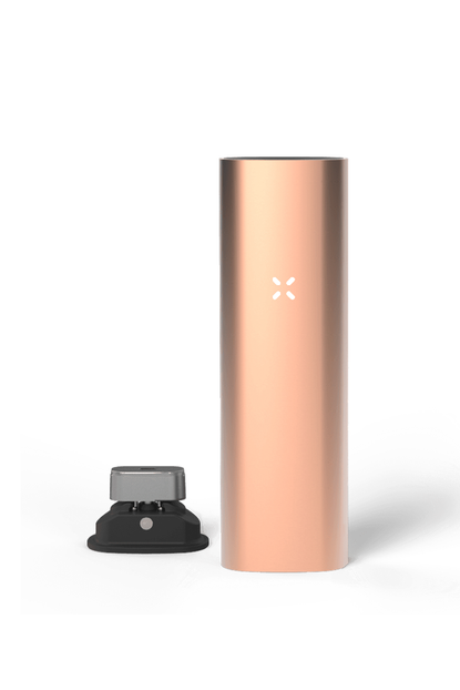 Pax 3